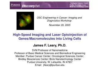High-Speed Imaging and Laser Optoinjection of Genes/Macromolecules into Living Cells