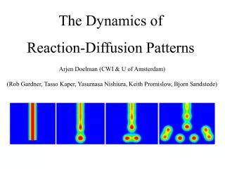 The Dynamics of Reaction-Diffusion Patterns