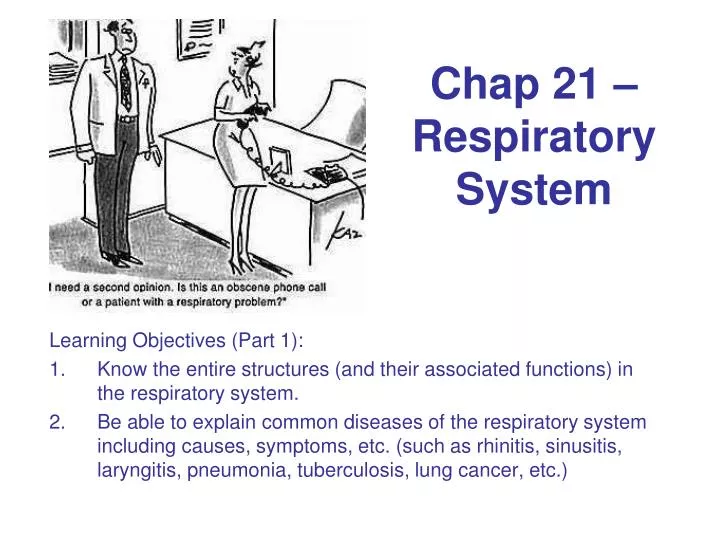 chap 21 respiratory system