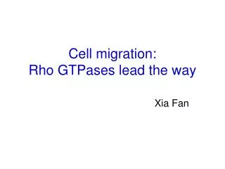 Cell migration: Rho GTPases lead the way