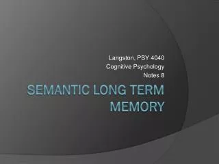 Semantic Long Term Memory