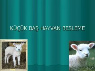 k k ba hayvan besleme