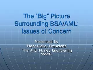 The “Big” Picture Surrounding BSA/AML: Issues of Concern