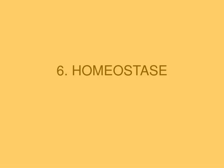 6 homeostase