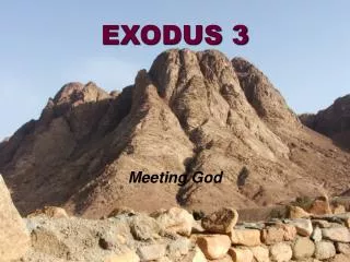 EXODUS 3