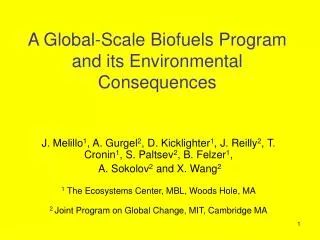 A Global-Scale Biofuels Program and its Environmental Consequences