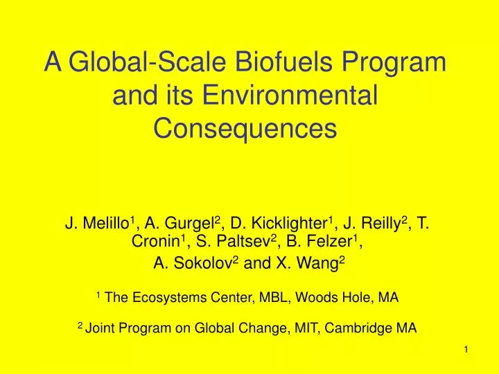 a global scale biofuels program and its environmental consequences