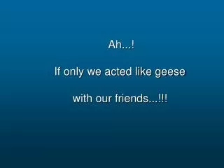Ah...! If only we acted like geese with our friends...!!!