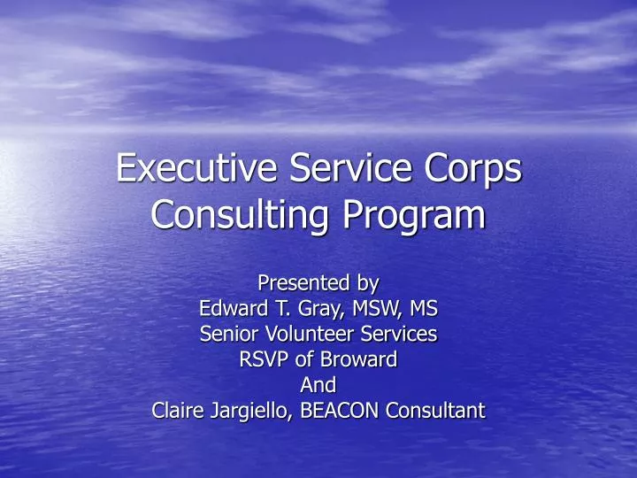 executive service corps consulting program