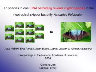 Ten species in one: DNA barcoding reveals cryptic species in the neotropical skipper butterfly Astraptes Fulgerator