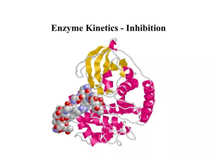 enzyme kinetics inhibition