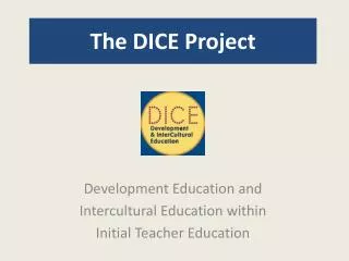 The DICE Project