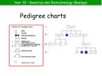 Pedigree charts - slide 1