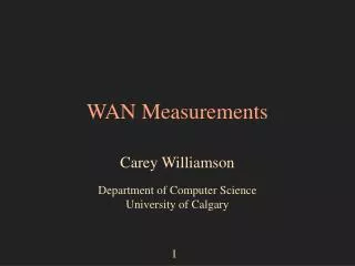 WAN Measurements