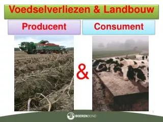 Voedselverliezen &amp; Landbouw