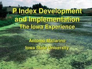 P Index Development and Implementation The Iowa Experience