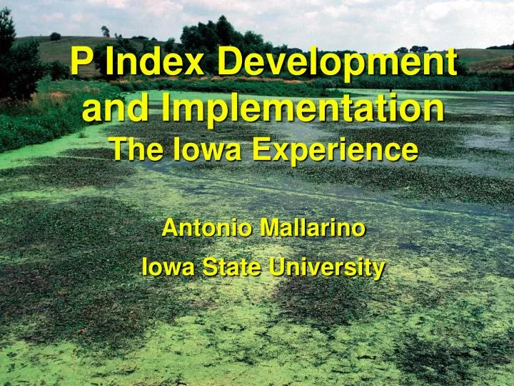 p index development and implementation the iowa experience