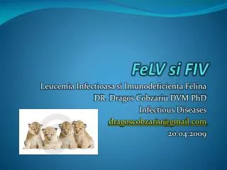 FeLV si FIV