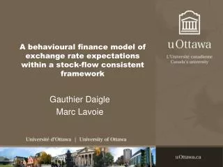 A behavioural finance model of exchange rate expectations within a stock-flow consistent framework