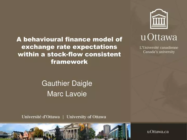 a behavioural finance model of exchange rate expectations within a stock flow consistent framework
