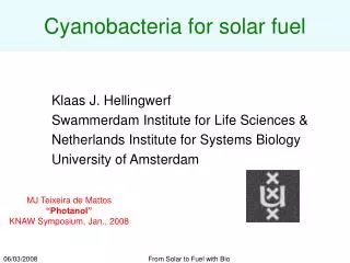 Cyanobacteria for solar fuel