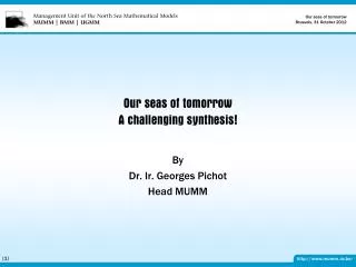 Our seas of tomorrow A challenging synthesis!
