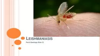 leishmaniasis
