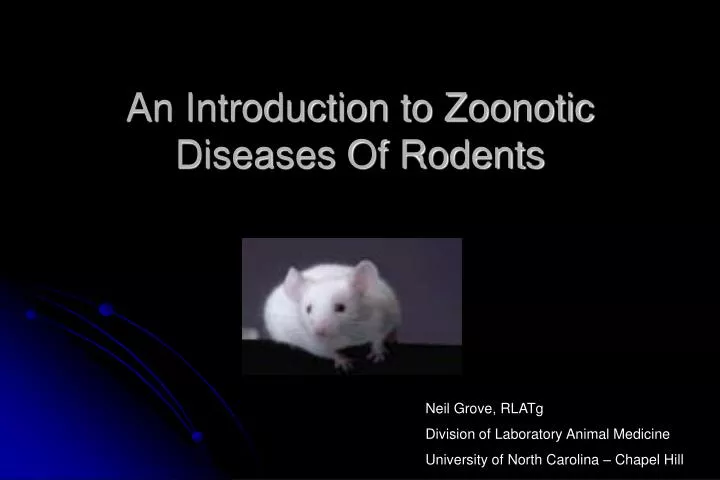 an introduction to zoonotic diseases of rodents