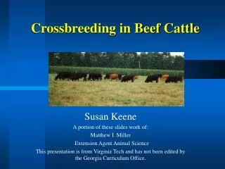 Crossbreeding in Beef Cattle