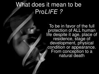 What does it mean to be Pro LIFE ?