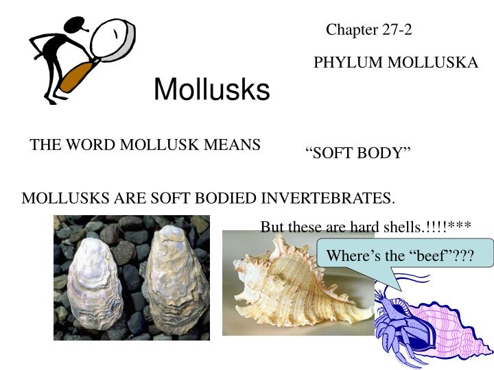 mollusks