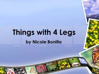 Things with 4 Legs