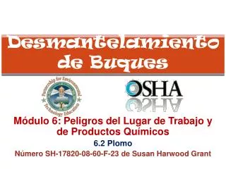 desmantelamiento de buques
