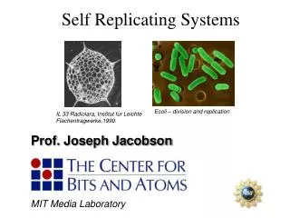 Self Replicating Systems