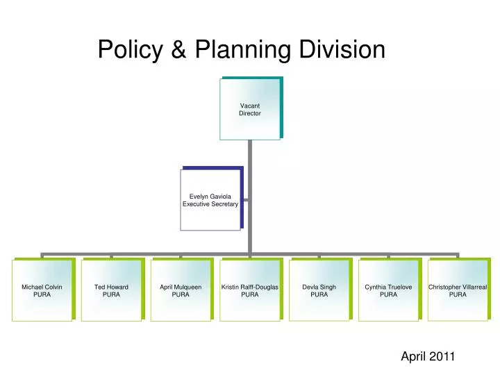 policy planning division