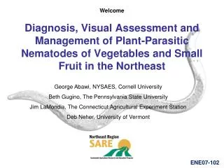 Diagnosis, Visual Assessment and Management of Plant-Parasitic Nematodes of Vegetables and Small Fruit in the Northeast