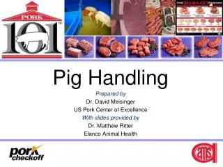 Pig Handling