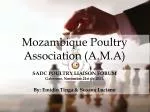 Mozambique Poultry Association (A.M.A) - slide 1