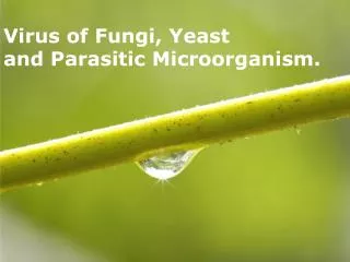 Virus of Fungi, Yeast and Parasitic Microorganism.