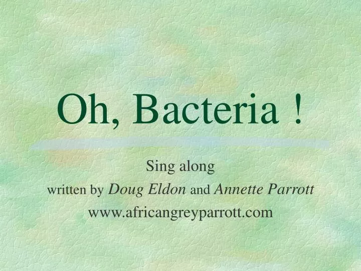 sing along written by doug eldon and annette parrott www africangreyparrott com