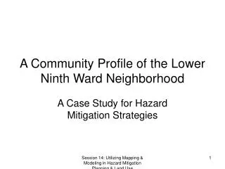A Community Profile of the Lower Ninth Ward Neighborhood