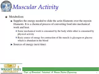 Muscular Activity