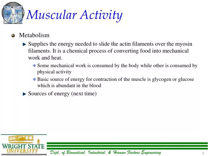 muscular activity