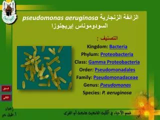 pseudomonas aeruginosa
