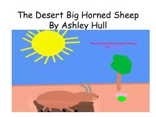 The Desert Big Horned Sheep By Ashley Hull