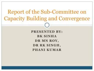 Report of the Sub-Committee on Capacity Building and Convergence