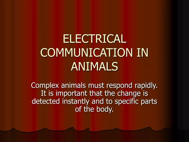 electrical communication in animals