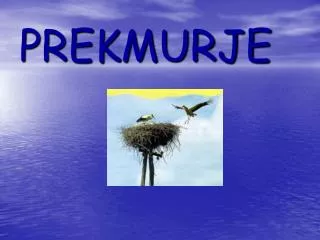 PREKMURJE