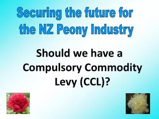 Should we have a Compulsory Commodity Levy (CCL)?