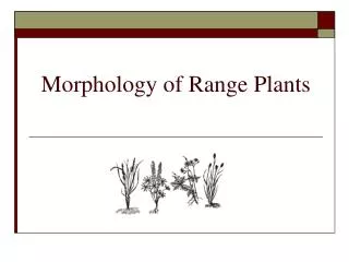 Morphology of Range Plants